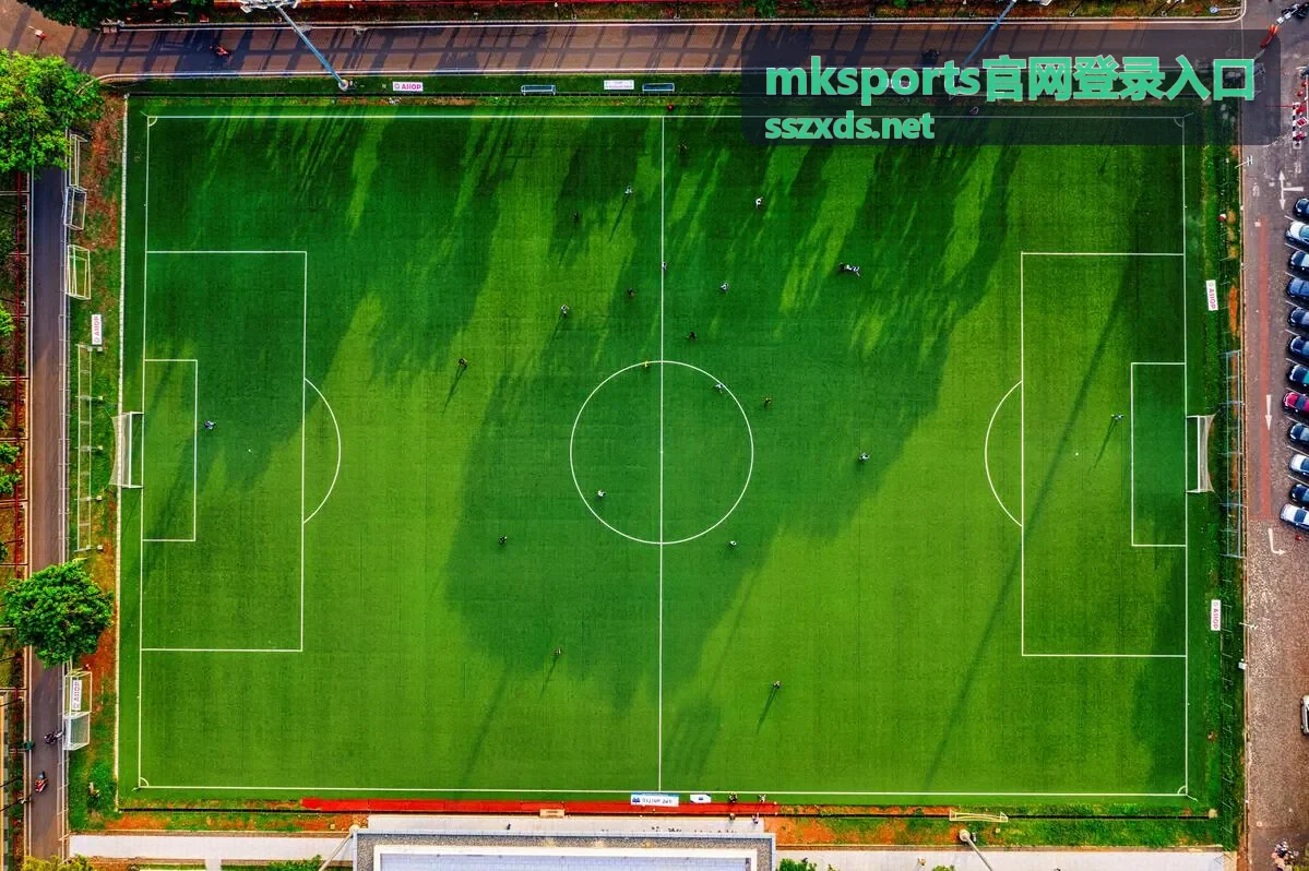 mksports官网登录入口的登录指引与账号帮助页面展示