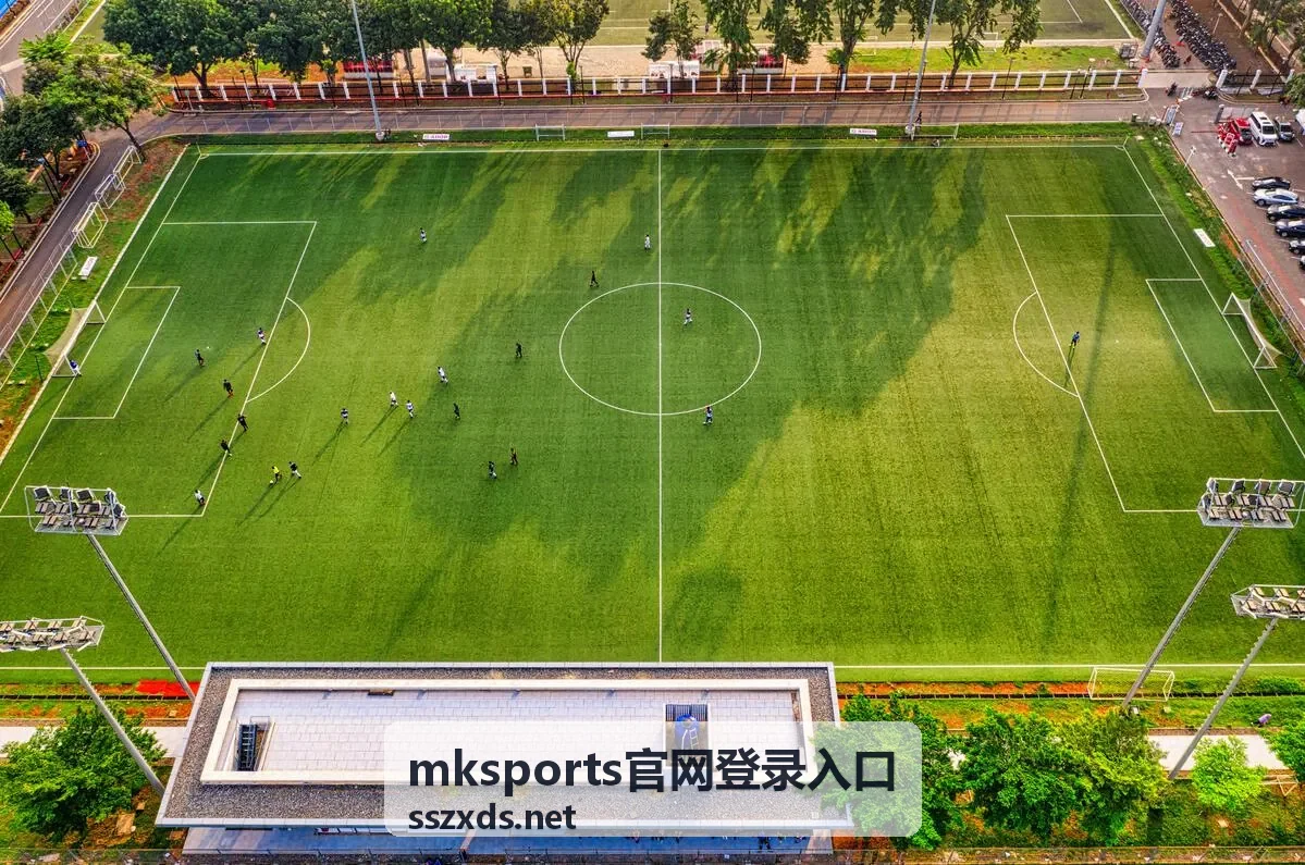 mksports官网登录入口地址核对流程示意图