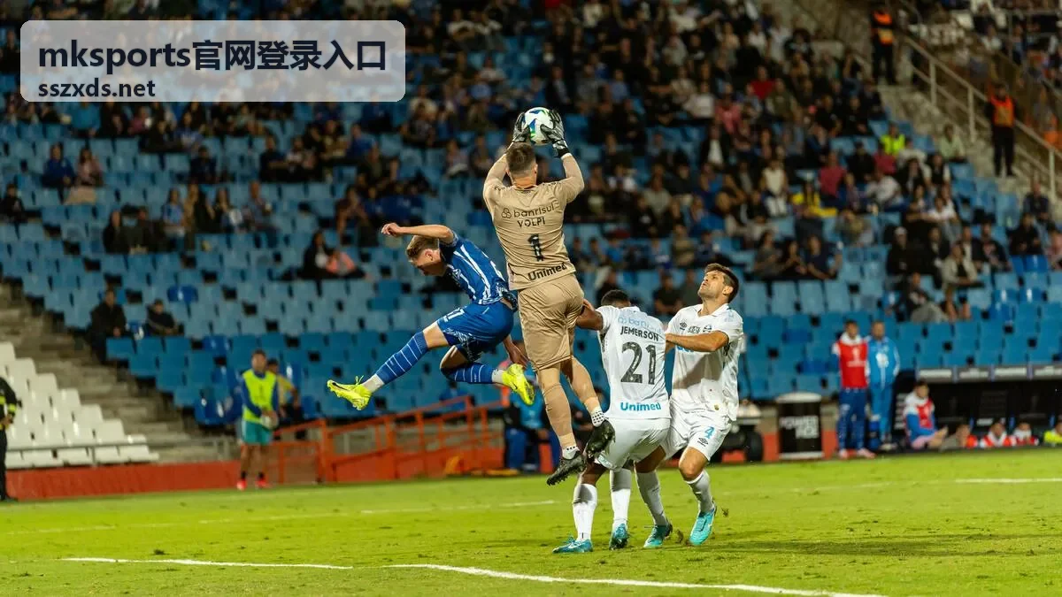 mksports官网登录入口 密码更新与验证重新绑定示意图